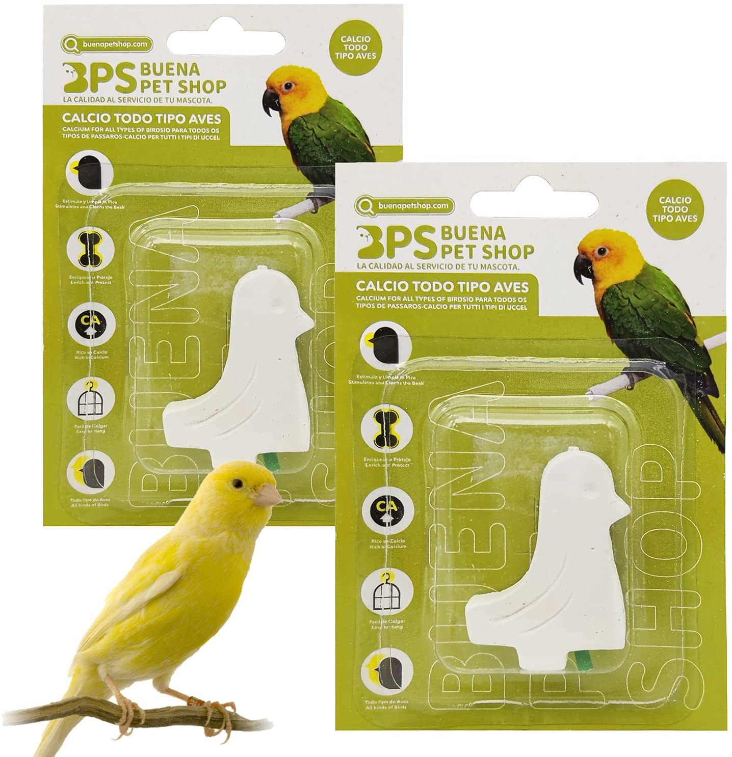 Mascotaland calcium block for large natural turtles calcium block for fish calcium for birds parrots and calcium Cotorras for rodents basic glazing supplement health conditioner Mineral block: Bird / 10uds