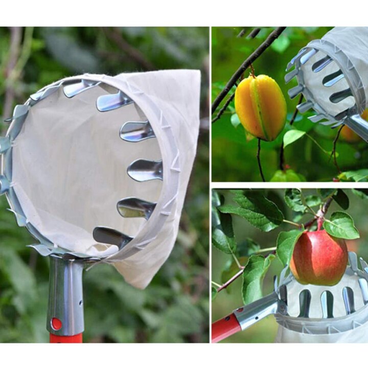 Cueilleur de Fruits Portable, panier à tête, pour la récolte, cueilleur de agrumes et de poire, outil de jardin