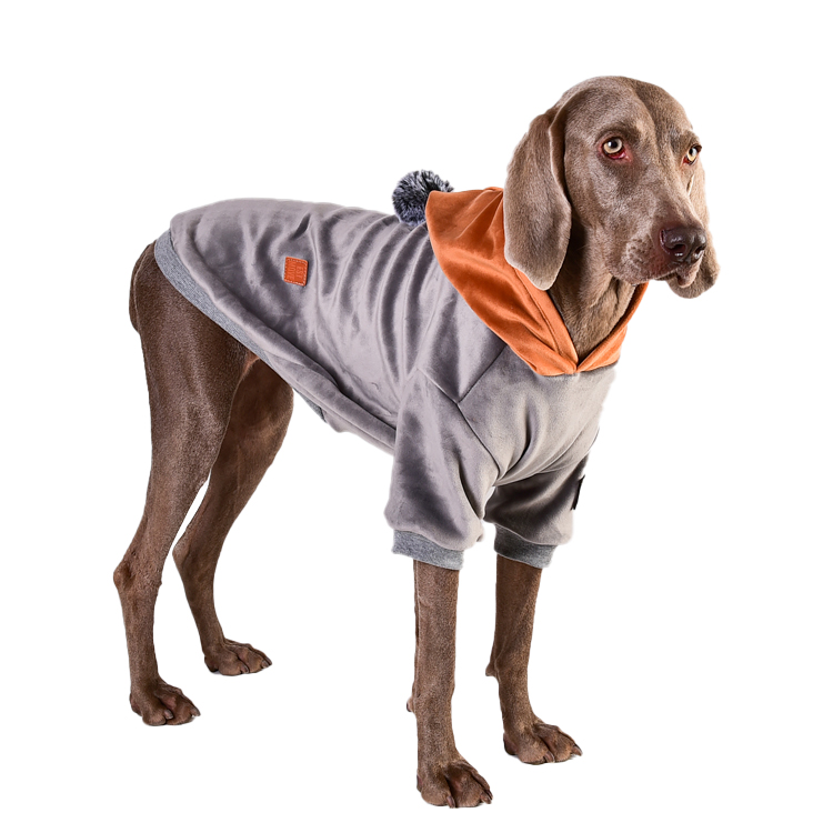 Pull en velours pour chien Golden Retriever, Labrador, bouledogue, vêtements pour grands chiens, accessoires pour chiens, automne et hiver