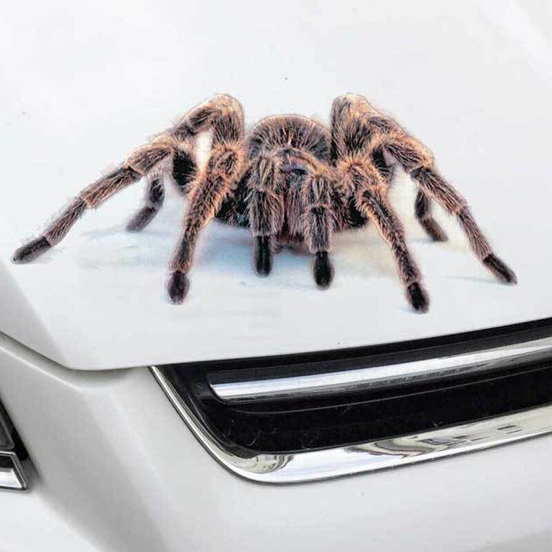Décalcomanies Voiture Araignée Noire 3D - Lot De 2 Autocollants Vinyle, Résistants Aux Intempéries, Amusants