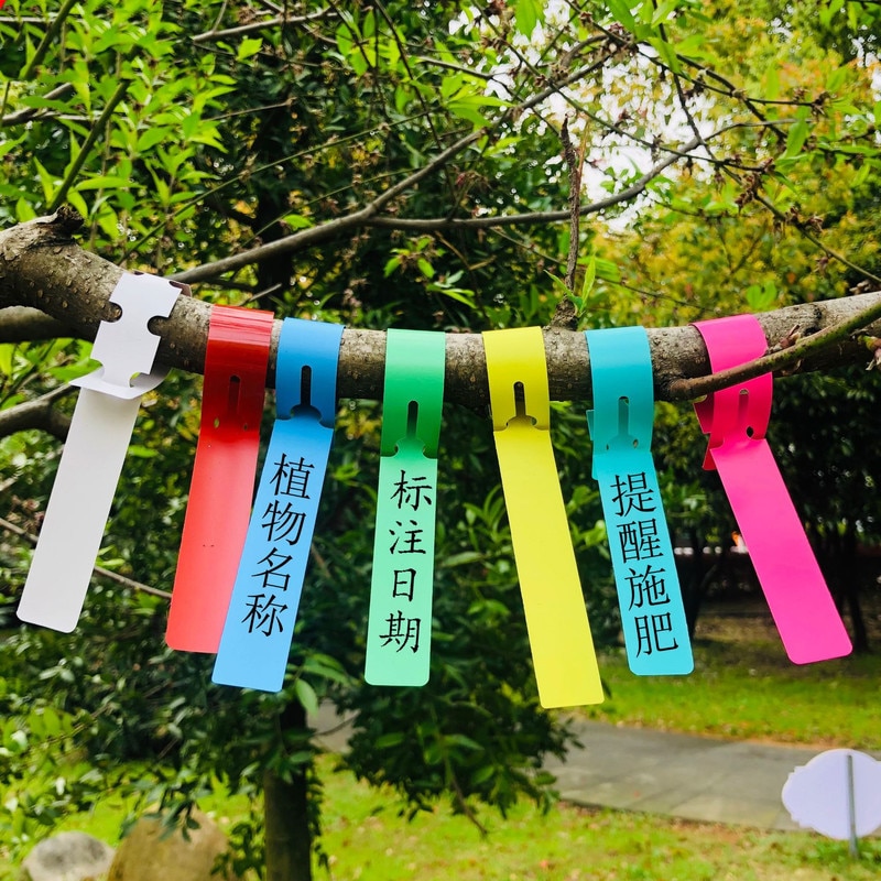 100 Pcs Gardening Tag Seedlings Flower Plant Vegetables Label Garden Direction Sign Fruit Trees Identification Cards