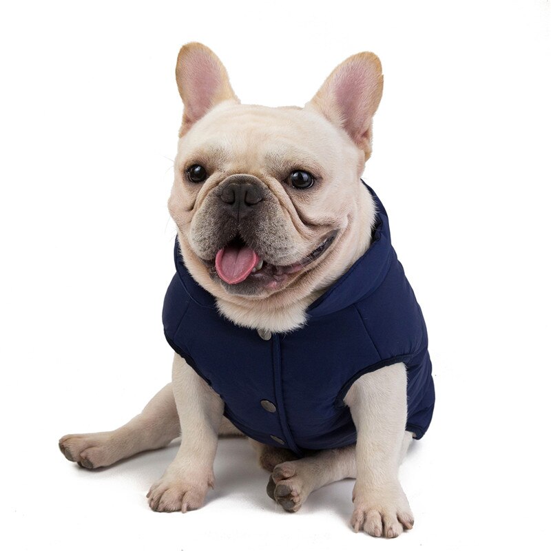 Liten hund dunväst husdjursparkas vinter bomullsvadderad jacka varm valpkläder kappa för medium hund yorkshire bulldog(s/m/l)