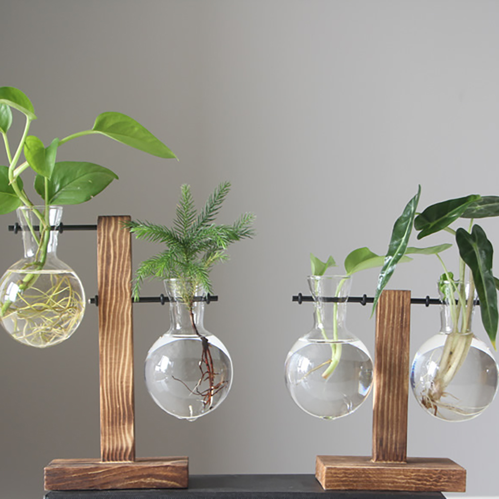 Hydroponic vase vintage desktop plante terrarium planter pære glasvase vandplantning formeringsstationer boligindretning