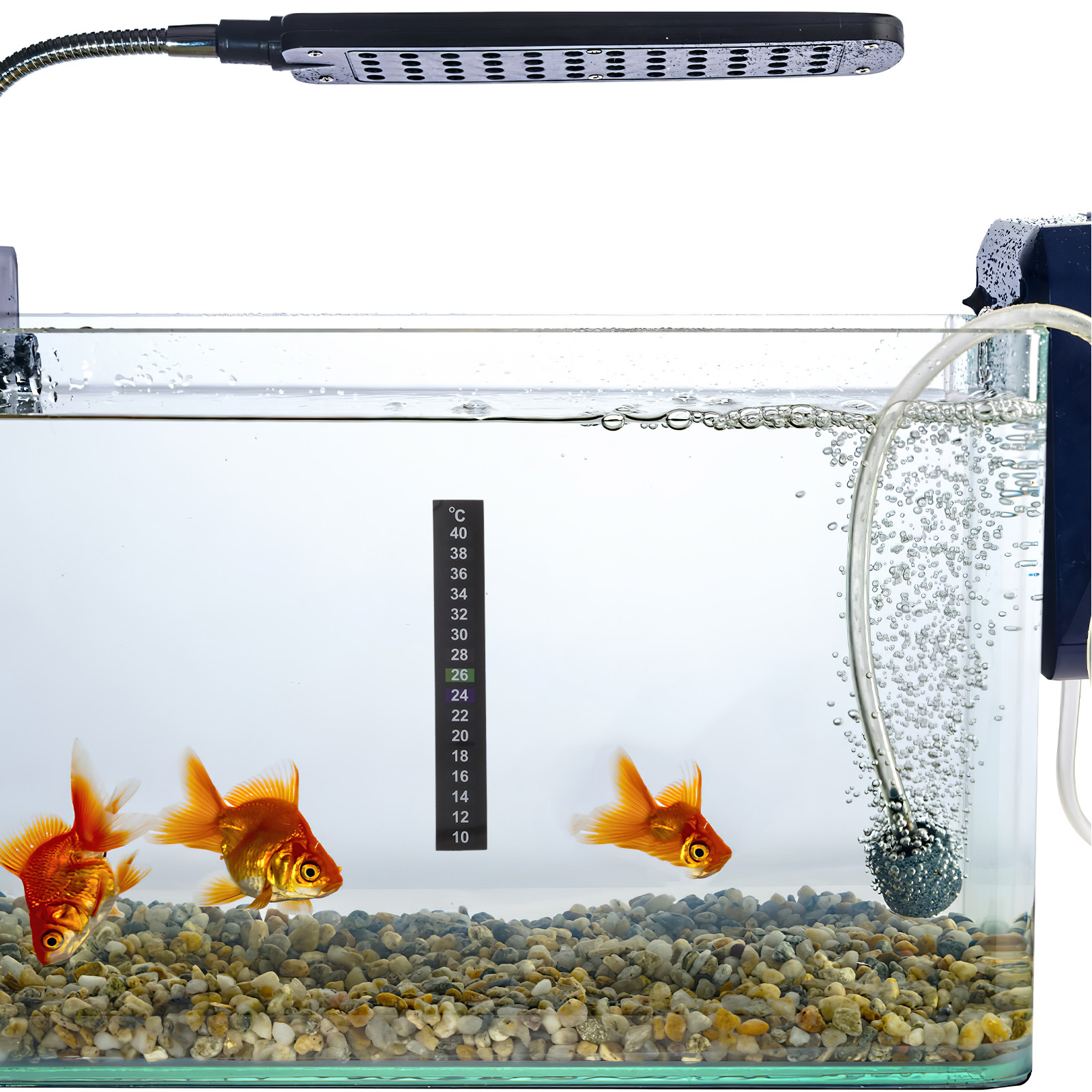 10-teiliges Temperaturaufkleber-Aquarium-Thermometer für Aquariumstreifen auf selbstklebendem Papier für Babybekleidung