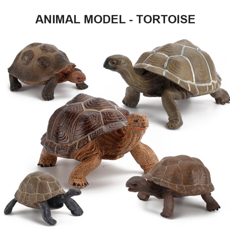 Life Simulation Animal Model Sets Sea Turtle Simulation Model Children Cognitive Cobra Toy Accessories Action Figures Teaching M