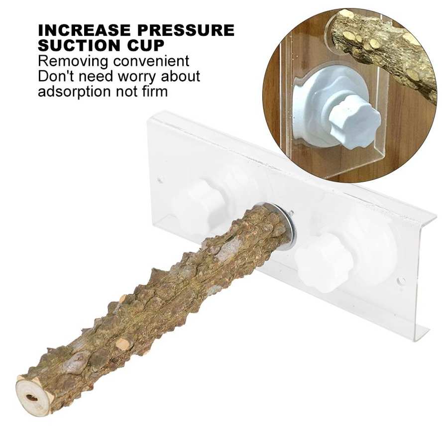 Parrots Standing Rod Bird Shower Perch Bird Shower Standing Rod with Suction Cup for Birds Pets