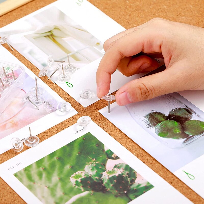 Clear Push Pins Small Plastic Thumb Tacks Steel Point And Clear Plastic Head Pushpins For Cork Board