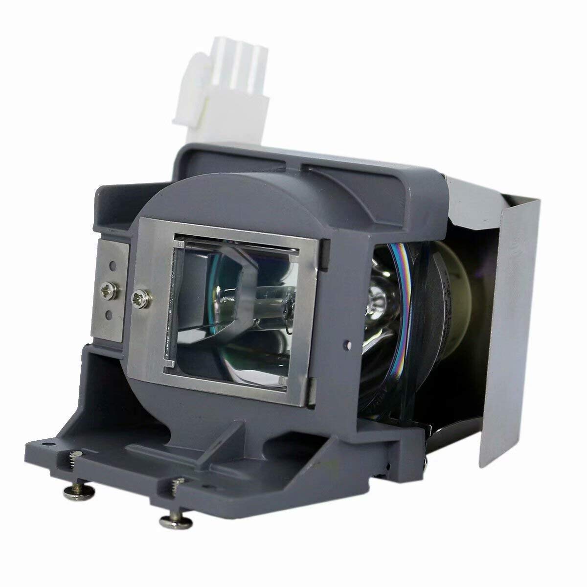 BL-FU190C/PQ484-2401 Projector Lamp met OPTOMA DX328 DX330 DX343 H100 S2010 S2015 S302 S303 S313 W2015 W303 W313 X2010 x2015: BL-FU190C-CBH