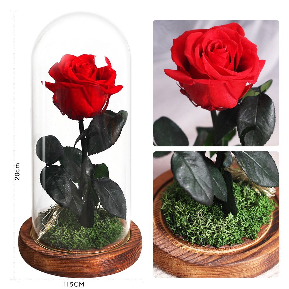 Torkade blommor konserverade rosor i glasskåpa med nattljus ornament bröllop alla hjärtans dag jul år heminredning