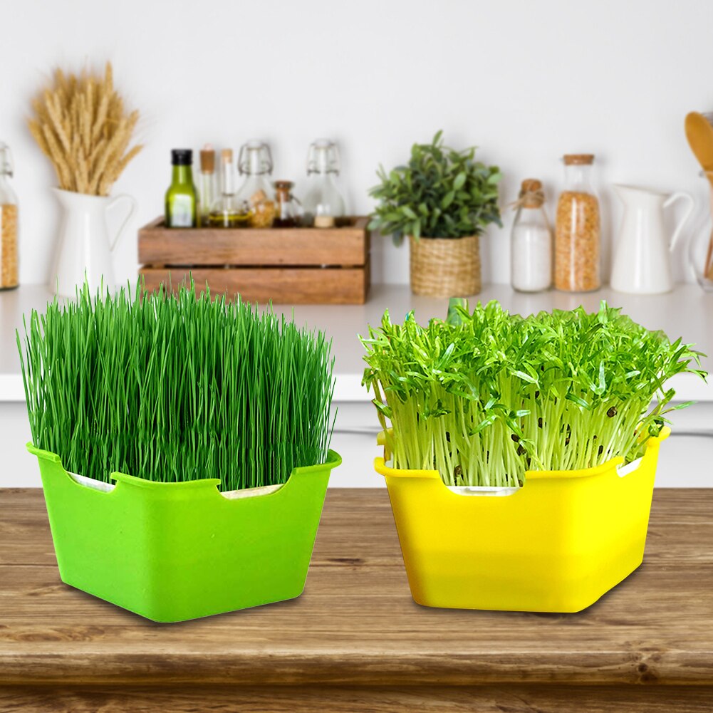 Bandeja para germinación de plantas, caja de plástico portátil a prueba de humedad para plantación de vivero, bandeja de semillas de brotes multifuncional