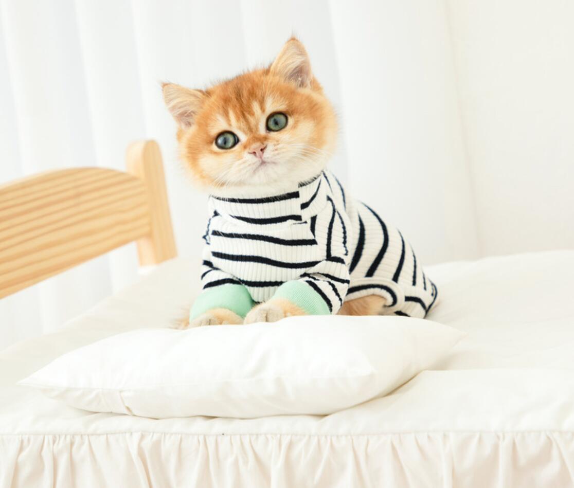 Cat Clothes Small Cats Vest Casual Warm Kitten Shirt