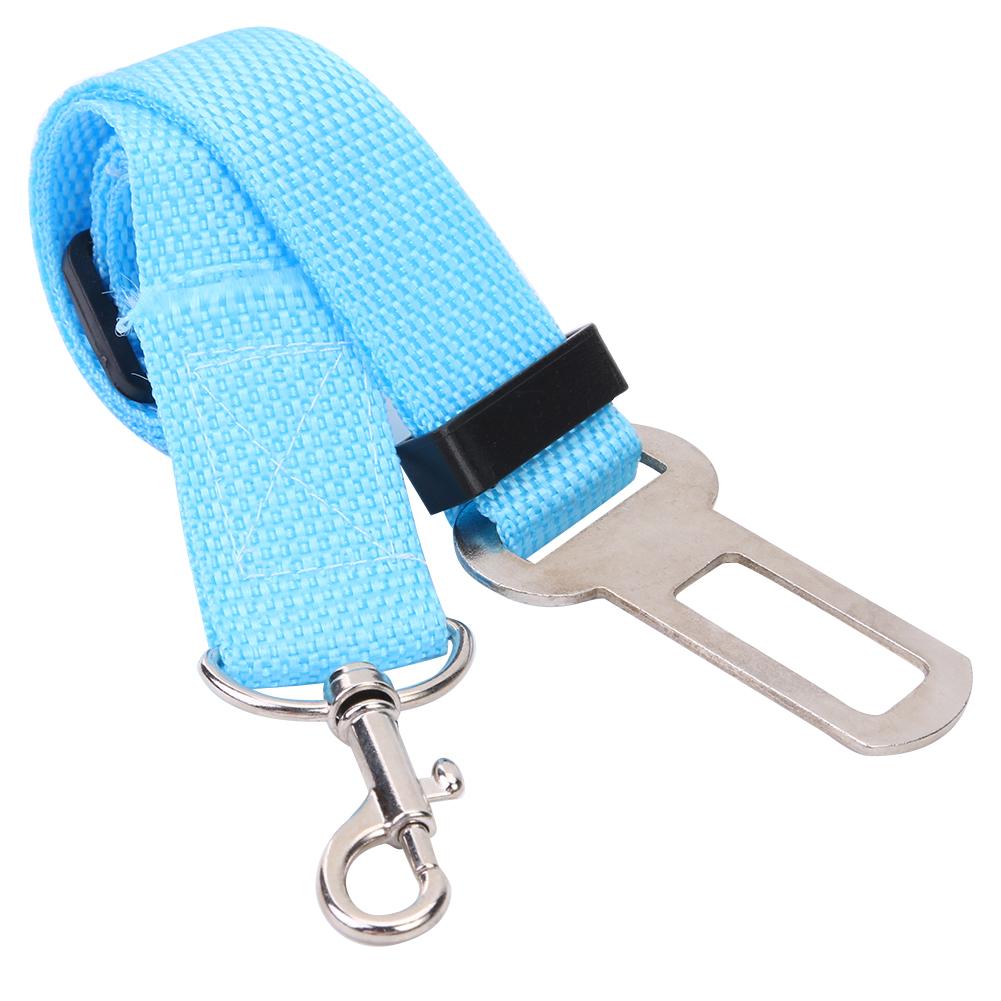 Heldere Halsband Kat Leash Pet Autogordel Verstelbare Hond Harnas Lead Leash Voor Small Medium Hond Accessoires Huisdier product: 01 Sky Blue