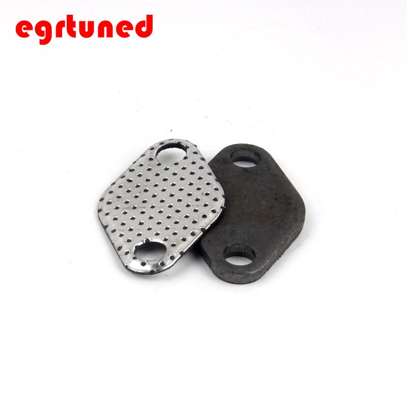 BMW EGR Rem/Del Kit E90 318D 320D E61 520d E87 118D 120D E83 X3 ~ Kage
