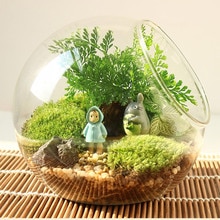 Clear Glass Ball Vase Glass Bauble Balls Micro Landscape Air Plant Terrarium Succulent Hanging Flowerpot Container