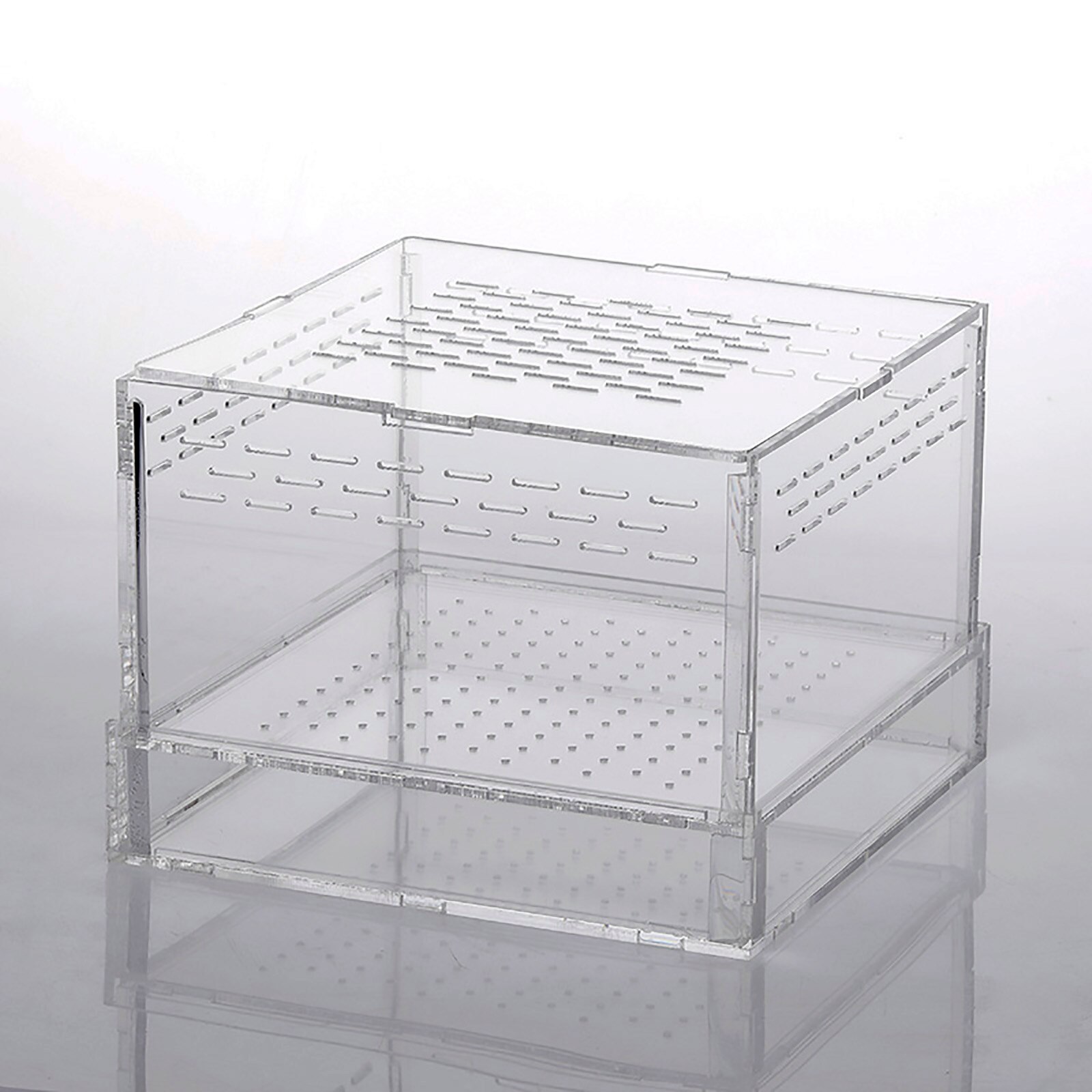 Insect Breeding Box Spiders Breeding Box Reptile Breeding Box Acrylic Climbing Pet Products Translucent Acrylic Feeding Box