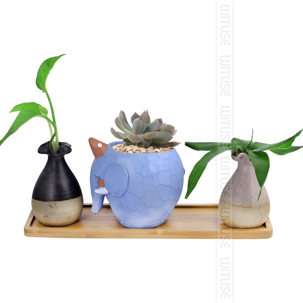 Växter kruka fat bonsai krukor bambu bricka söt blomma behållare keramik lådställ porslin suckulent
