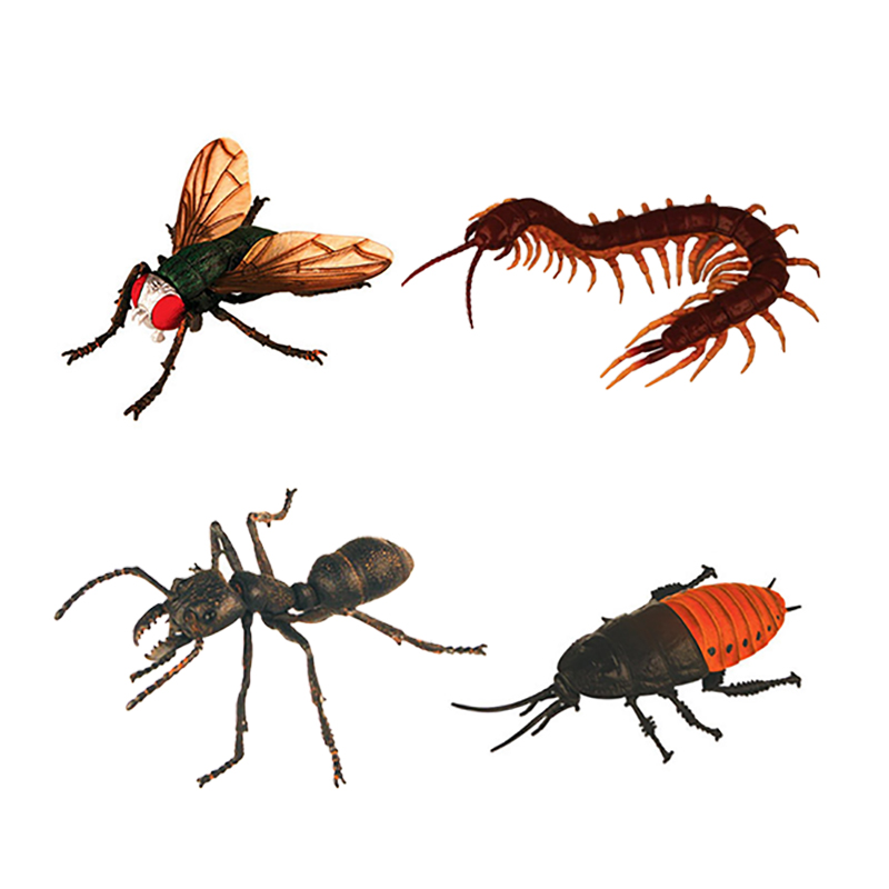 4 stuks Dier Insect Puzzel Educatief Wetenschap Speelgoed voor Kids-24 soorten Insecten: 5866-4H