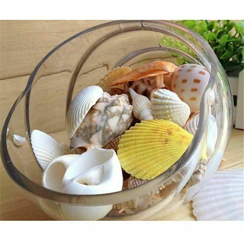 100G Gemengde Oceaan Schelpen Bruiloft Decor Strand Thema Party, Schelpen Huis Decoraties, Aquarium Decoraties