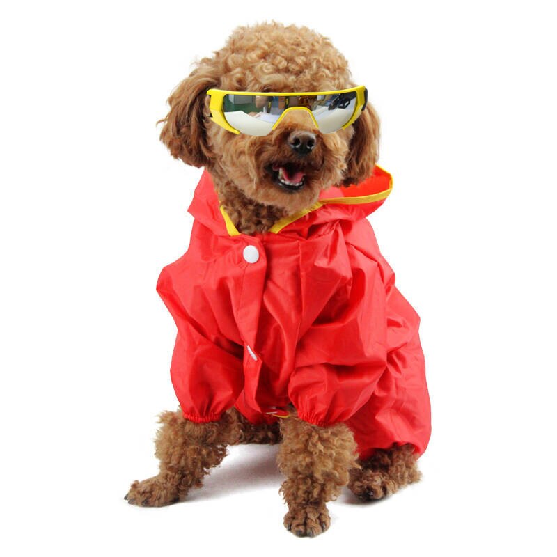 Een Stuk Kleurrijke Huisdier Glazen Zonnebril Hond Zonnebril Windschermen Oogbescherming Bril Voor Kleine Honden