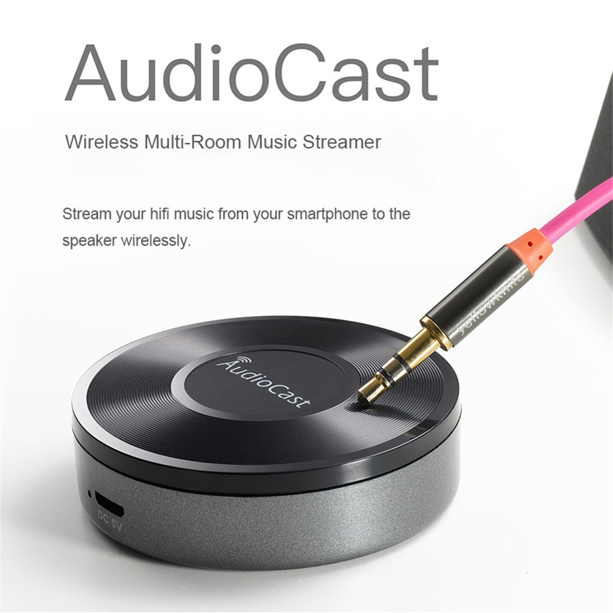 Ricevitore streaming Audio musicale WiFi senza fili Audiocast Ieast giocare a M5 DLNA per adattatore Audio airplay Streami multi stanchi