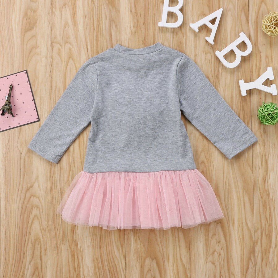 Robe Tutu en dentelle pour bébé fille, sweat-shirt à manches longues en Tulle, vêtements pour enfants