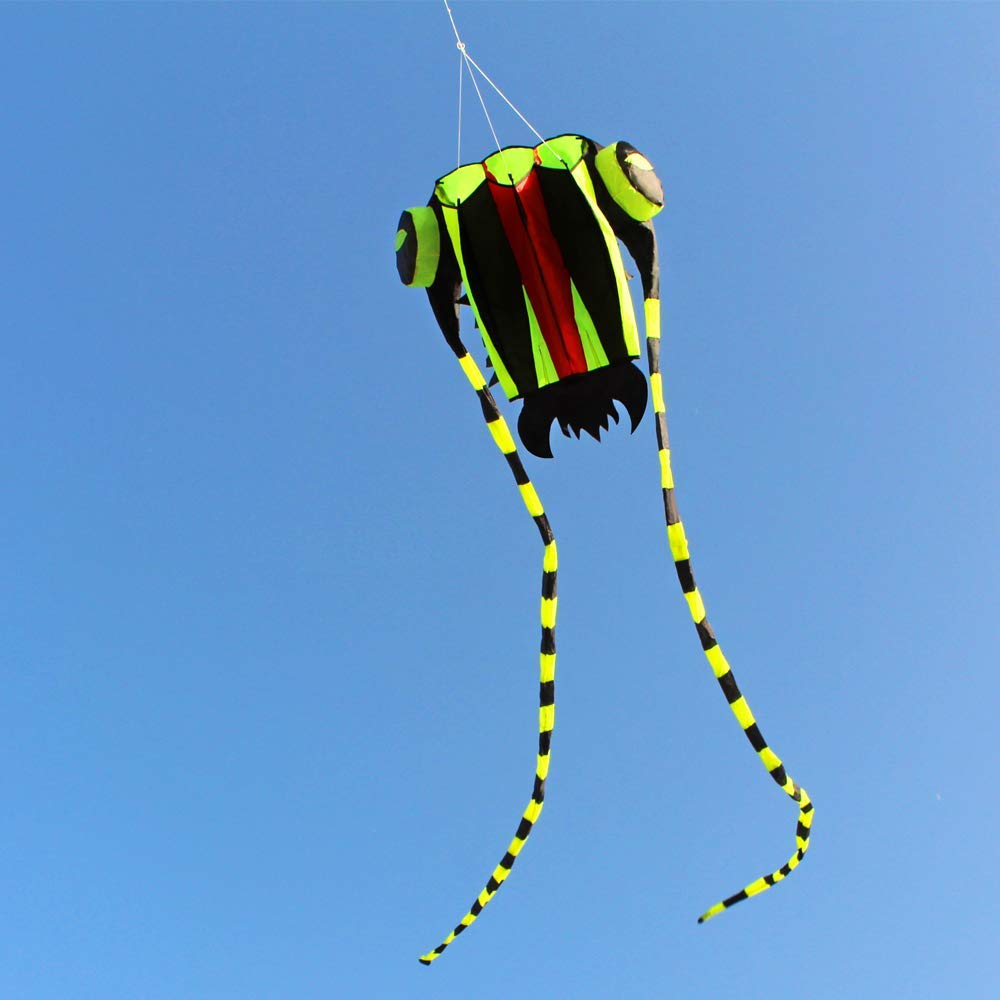 KITE-Large Easy Flyer Soft Kite for Kids-Colorful Green Trilobite-It's Big! 30 Inches Wide with Two 130 Inches Long Tails