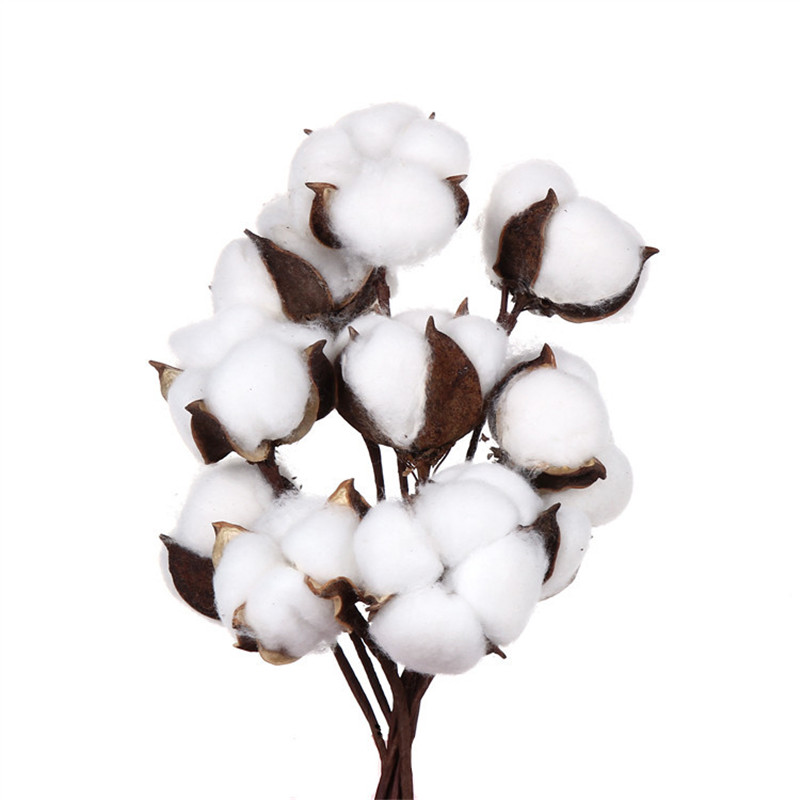 10pcs/lot Artificial Flower Cotton Flower Branch Wedding Home Christmas Decoration Photography Props Dry Cotton Flower Head