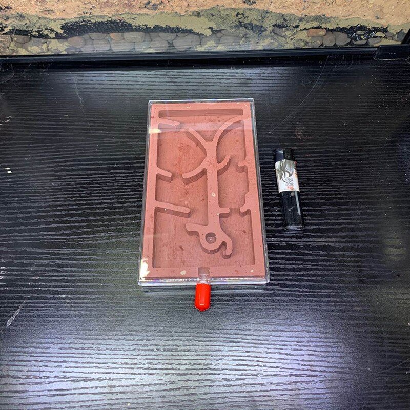 mini mrówka schody gniazdo tynk gniazdo farma mrówek warsztat owad Terrarium wyjątkowe prezenty: styl E