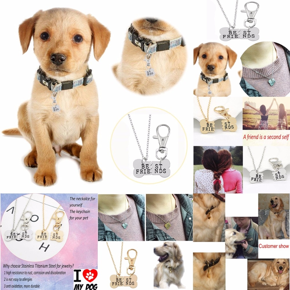 Hond Pet Bone Hanger Beste Vrienden Ketting Sleutelhangers Sleutelhanger BFF Botten Vriendschap Sleutelhangers Cadeaus Vrouwen Dieren Minnaar Sieraden