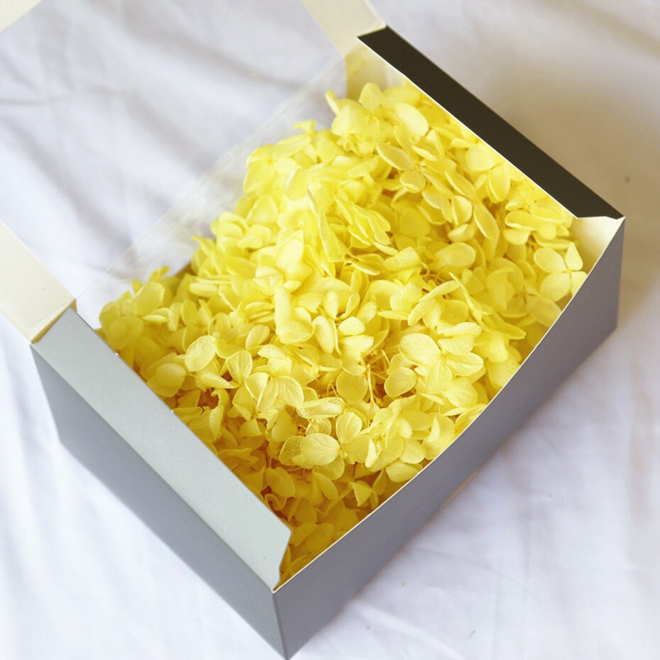 20g naturlige frisk hortensia tørket blomsterhode gjør-det-selv ekte evigblomstmateriale langtidskonservering falmer ikke: 10