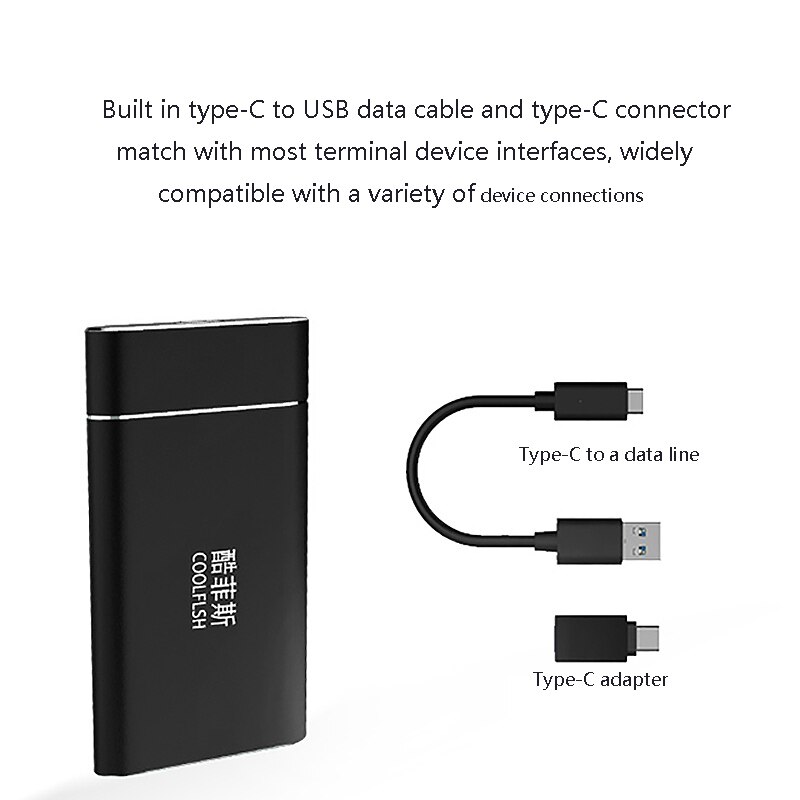 Disque dur externe COOLFISH NGFF 256 go SSD Type C 3.1 Mini disque dur SSD/disque dur Mobile pour Windows/Android/MAC Os