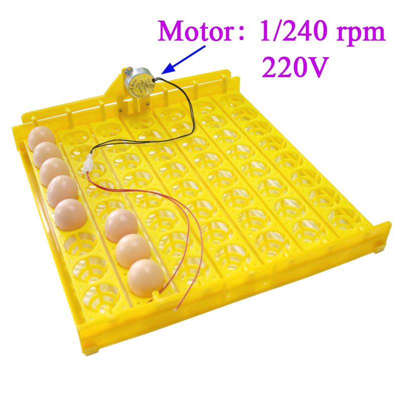 Incubadora automática de 56 huevos, 7*8 orificios, incubadora de pollos, patos y otras aves de corral, huevos, aves de corral, equipo de incubación: 1I240rpm 220V