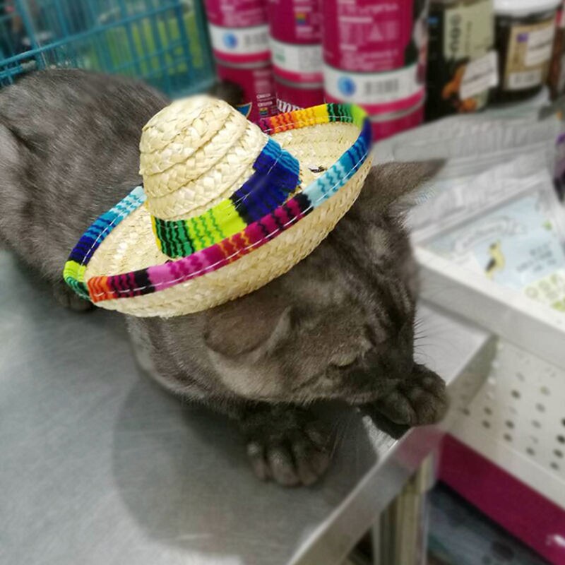 Mexicaanse stro sombrero hoed, verstelbare gesp, veelkleurige strohoed voor honden en katten