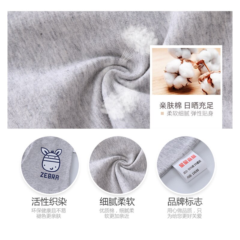 Boxer en coton pour garçons, 2 pièces/lot, , caleçons dessin animé, sous-vêtements pour enfants