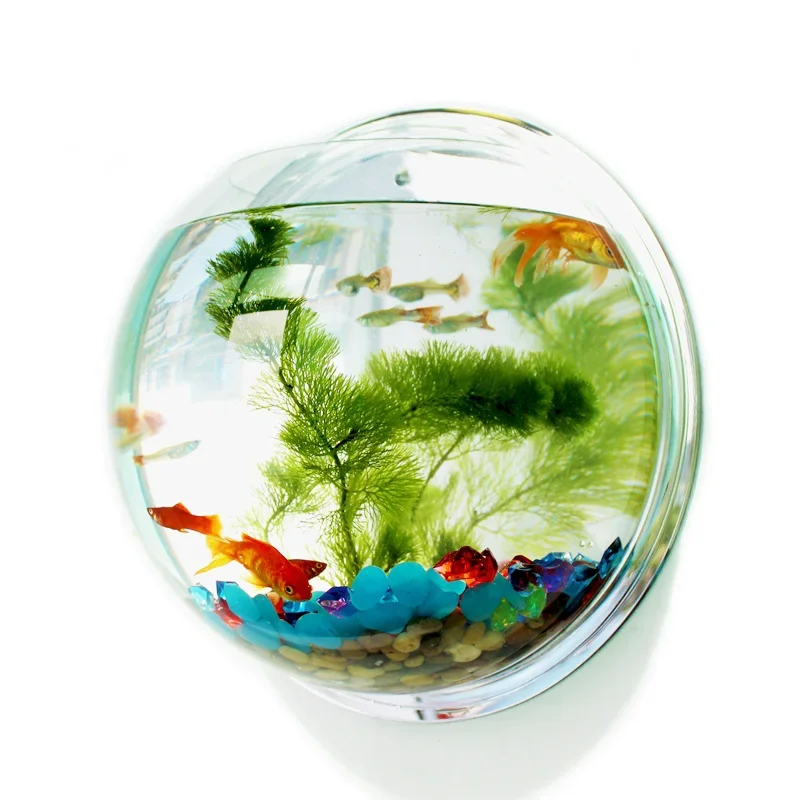 Pinsjar Acryl Viskom Muuropknoping Aquarium Tank Aquatic Dierbenodigdheden Huisdierproducten Muurbevestiging Aquarium voor Betta vis