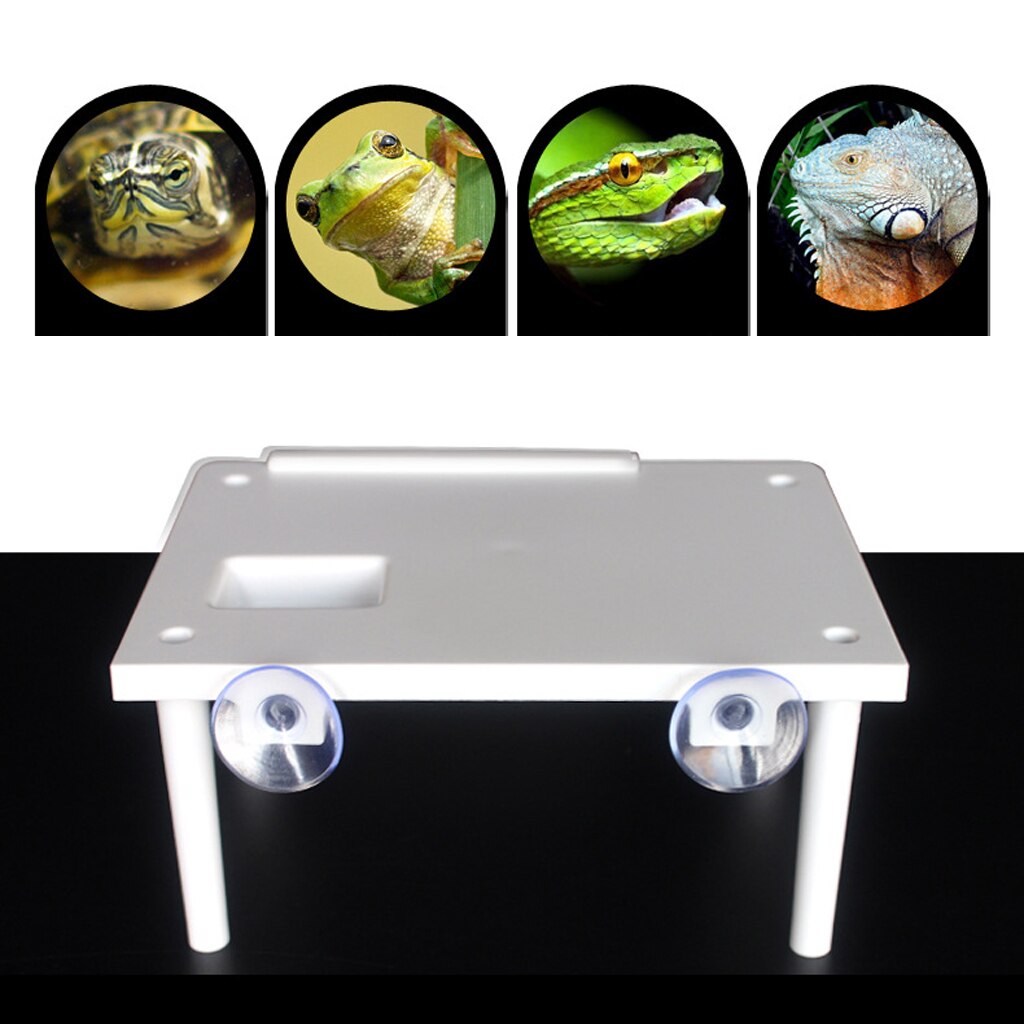 Reptile Aquarium Turtle Floating Island Climbing Basking Platform Staircase