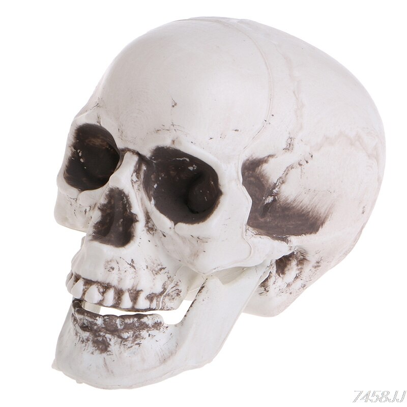 Mini crâne humain en plastique, accessoire de décoration de tête de squelette, ornement de bar à café pour Halloween, directe G22