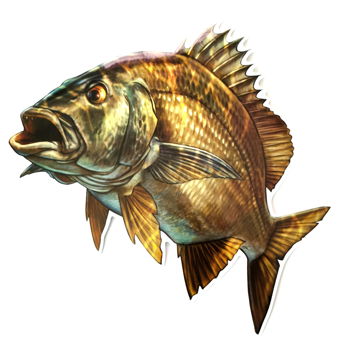 20cm, Pegatinas de peces marinos grandes, Delfín Común, Pescador de Viajes de Pesca, para Barcos, Portátil, Equipaje, Moto, Coche, Skate, Peceras, Cristales, Ventanas, Paredes, Pegatinas impermeables