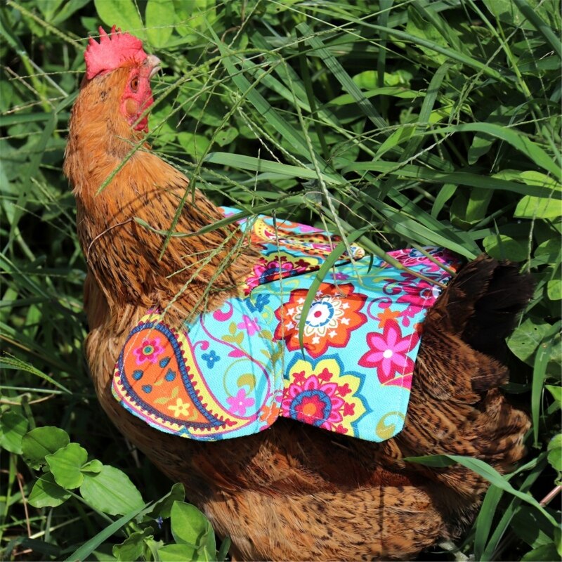 Canvas Chicken Saddle with Adjustable Straps Quilted Lining for Small Medium Large Hens Poultry Saver Protector Apron Y5GB