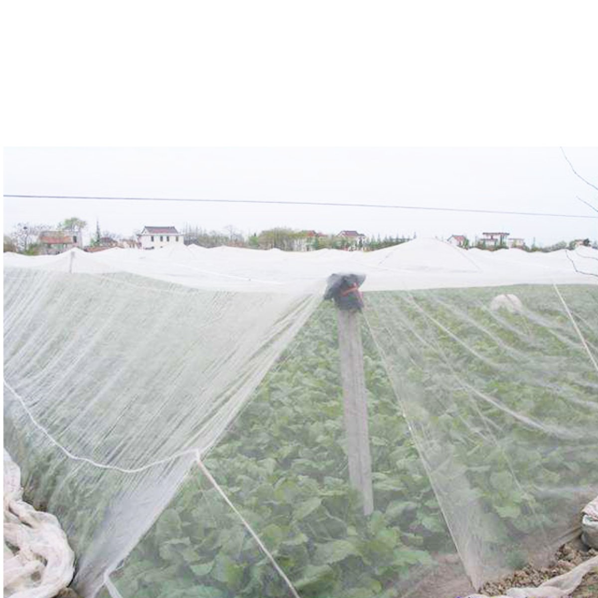 2x9m Bug Insect Bird Net Barrier Vegetables Fruits Flowers Plant Protect Greenhouse Garden Sunblock Netting Wear Resistance