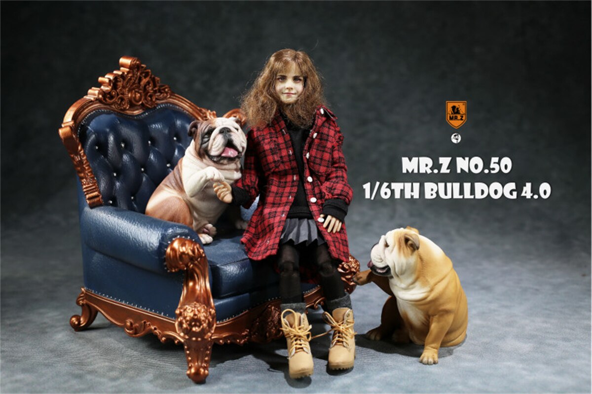 Mr.Z Studio 1:6 British Bulldog V4.0 Dog Pet Healing Figure Canidae Animal Model Toy Collector Desktop Decor Adult Unisex