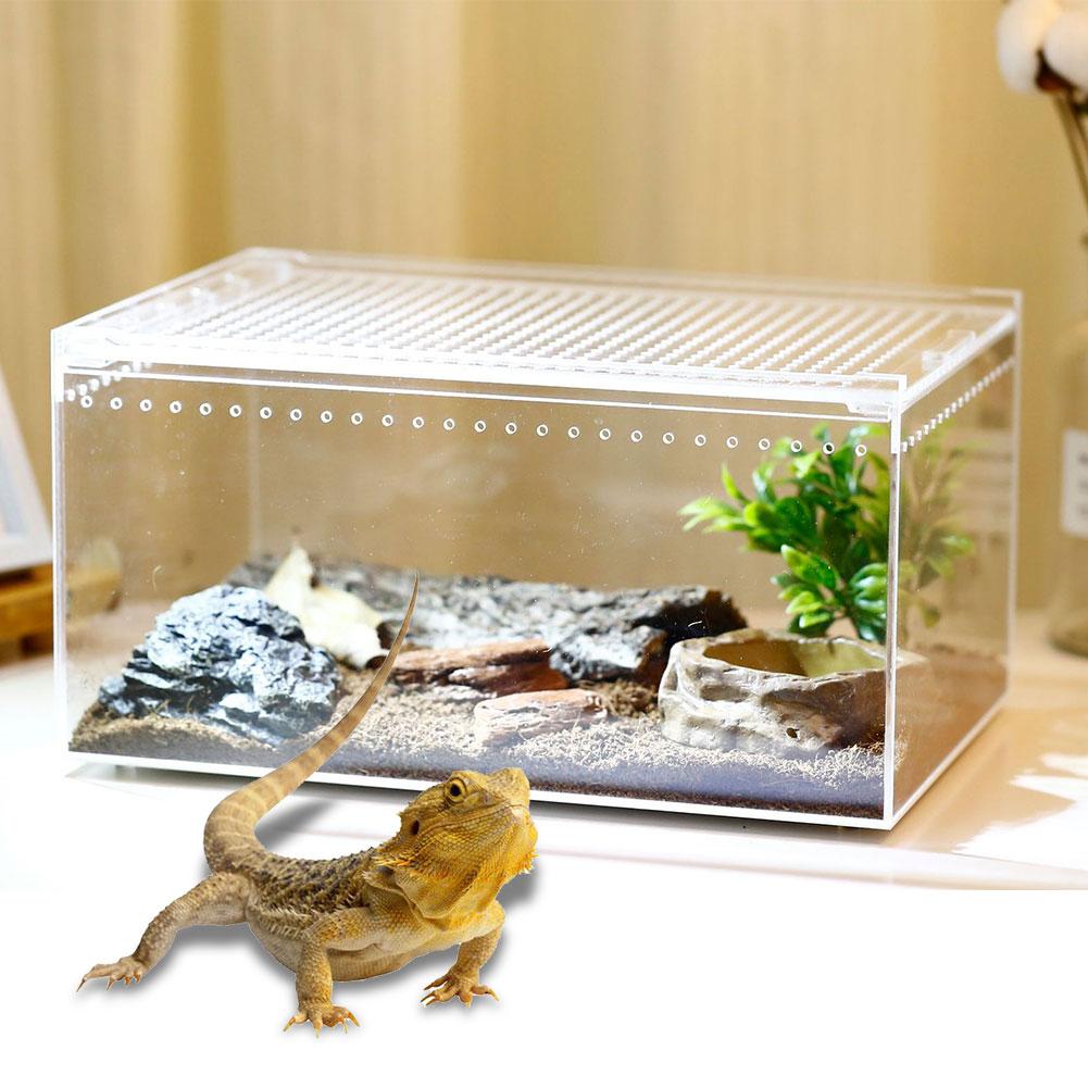 Acrylic Reptile Breeding Box Transparent Spider Lizard Caterpillars Snail Acrylic Assembled Insect Breathable Terrarium