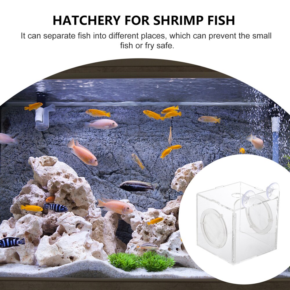 Acrylic Aquarium Incubator Box Transparent Breeding Tank for Fish Tank (10cm)