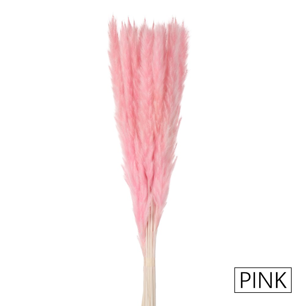 15/25 sztuk trzciny naturalne pszenicy kwiat bukiet suszone Pampas ślubny kwiat bukiet bukiety Bulrush dla Home Decor materiały ślubne: 15PCS-pink
