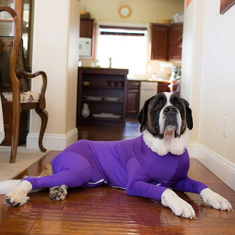 Traje de cirugía Post Pet después de la operación del perro beneficiosa para la recuperación de heridas, evita que la laminación de mascotas reduzca la extensión de las pulgas