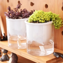 2PCS Newly Watering Pot Planter For Indoor And Outdoor Plants Flowers Herbs Moisturizing Jardin Vertical Garden Bag Tools