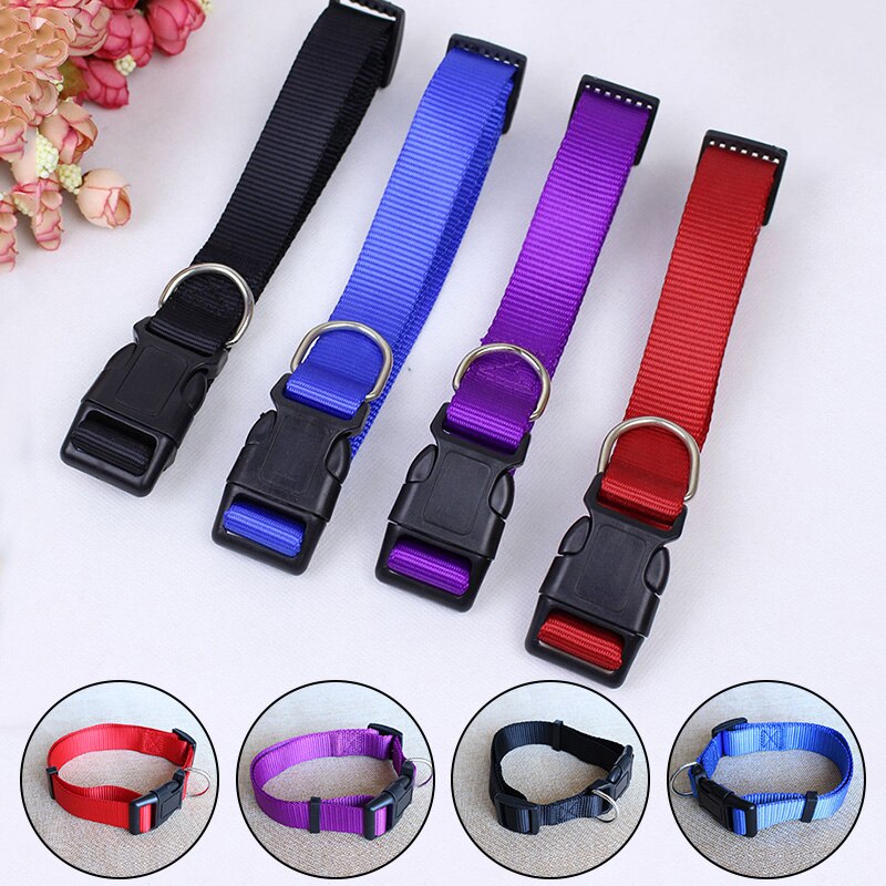 Pet Adjustable nylon dog collars Puppy Dogs Cat Neck Collar Solid Color Chihuahua Puppy nylon Collars