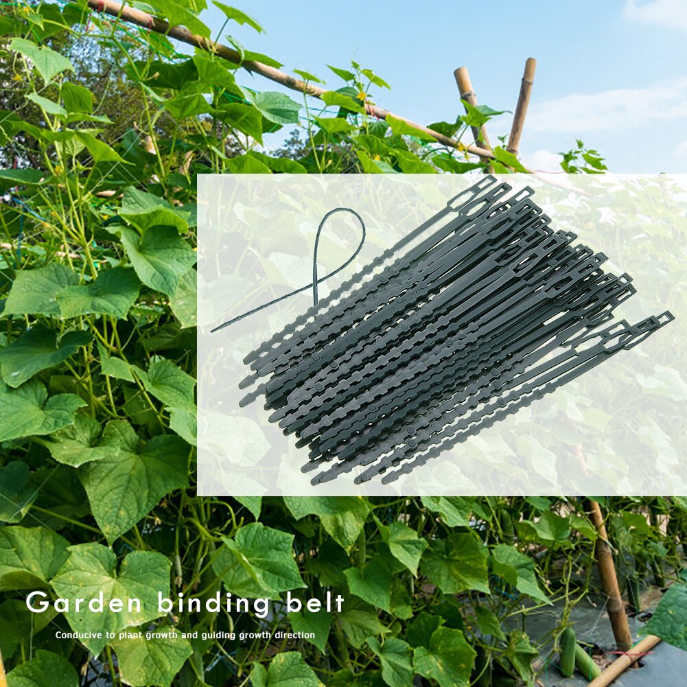 50PCS Tree Ties Adjustable Plant Ties Garden Ties Flexible Plant Cable Ties For Supporting Rose Shrub Plants Greenhouses Huerto