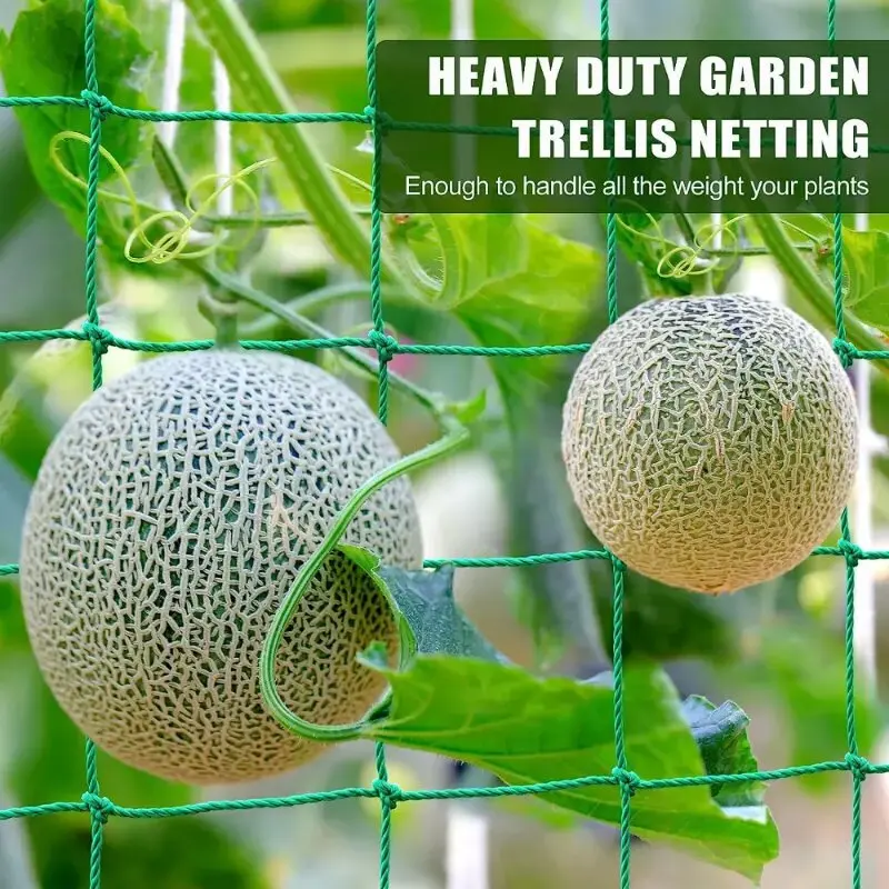 Hochwertiges Nylon-Garten netz Luffa Winde Blumen Weinpflanzen Klettern etz Gurken rebe wachsen Halter Halterungen