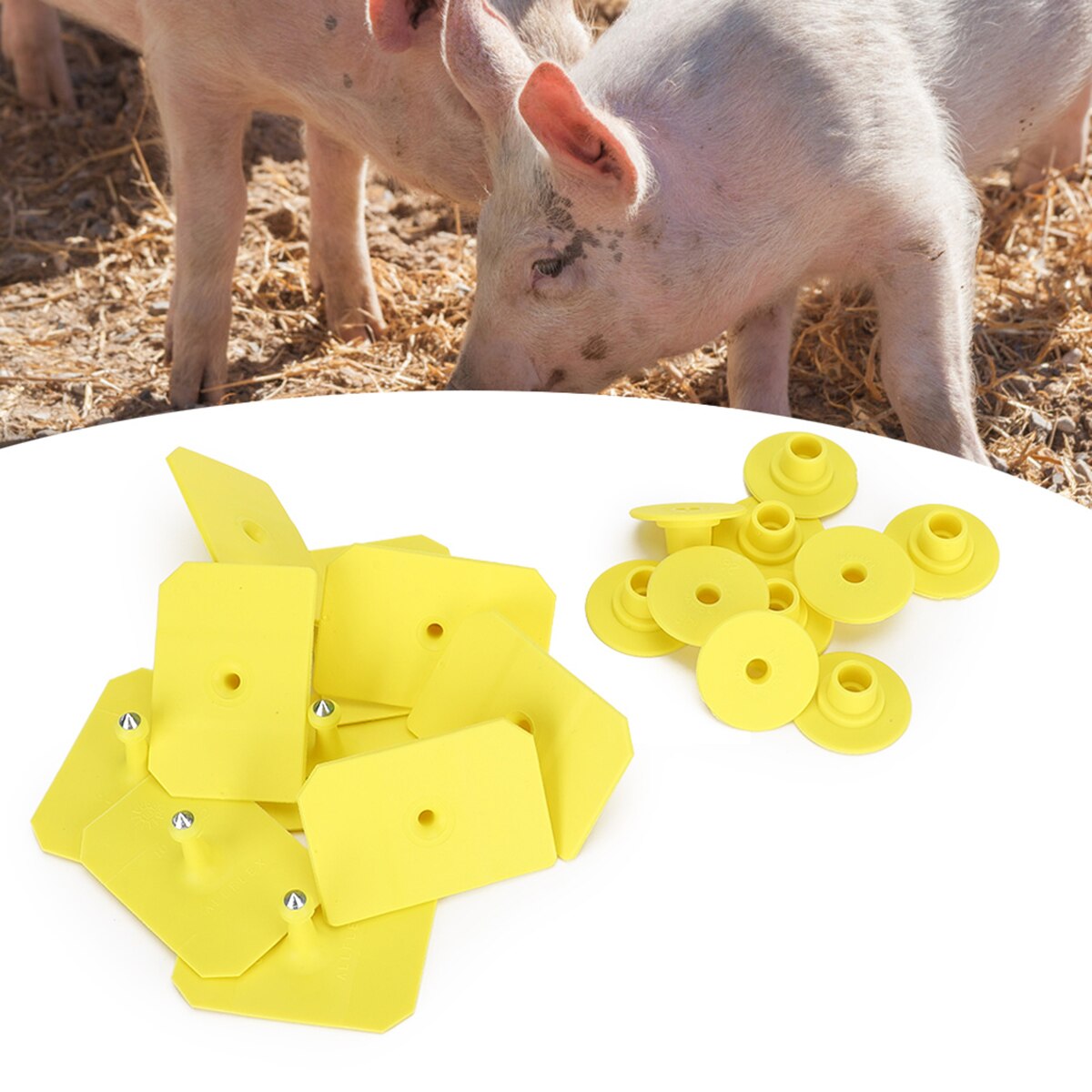 Pig Ear Tag Livestock Blank Ear Tags Farm Animal Management Identification Tag Set